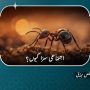 اجتماعی سزا کیوں؟